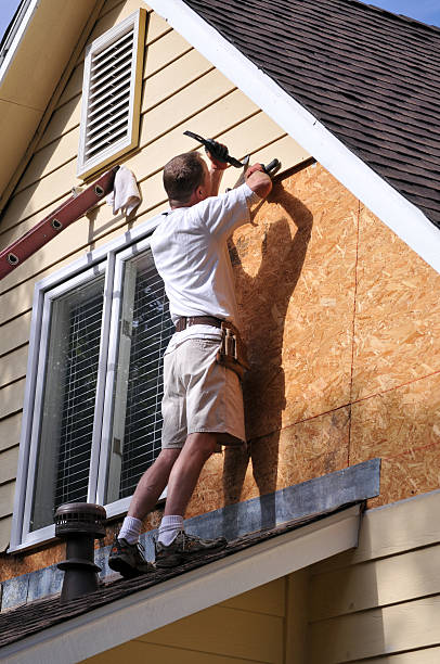 Best Siding for Commercial Buildings  in Royal City, WA